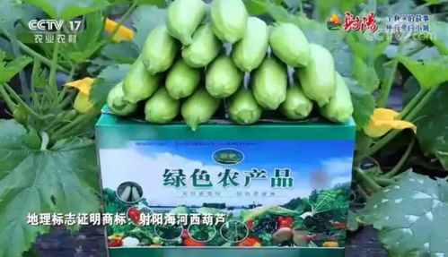 火遍全國！射陽綠色農(nóng)產(chǎn)品宣傳片刷屏央視、江蘇衛(wèi)視黃金時段