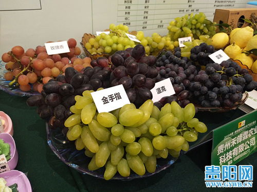 2019中國貴陽國際特色農(nóng)產(chǎn)品交易會盛大開幕，農(nóng)產(chǎn)品貿(mào)易迎來新機遇