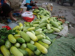 元陽縣農(nóng)產(chǎn)品信息網(wǎng) 連接優(yōu)質(zhì)農(nóng)產(chǎn)品與市場的橋梁