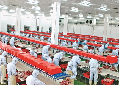 哈爾濱:規(guī)上農(nóng)產(chǎn)品企業(yè)量效雙收，現(xiàn)代農(nóng)業(yè)引擎動能強(qiáng)勁