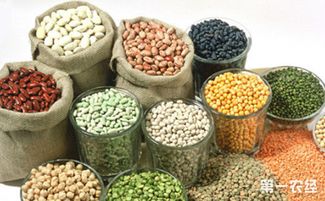 山西聚焦特色資源，擬10月確定20個(gè)獨(dú)有功能農(nóng)產(chǎn)品品牌