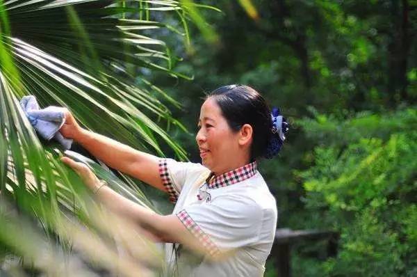 物業(yè)保潔服務(wù) 內(nèi)容、禮儀與作業(yè)標(biāo)準(zhǔn)全面解析
